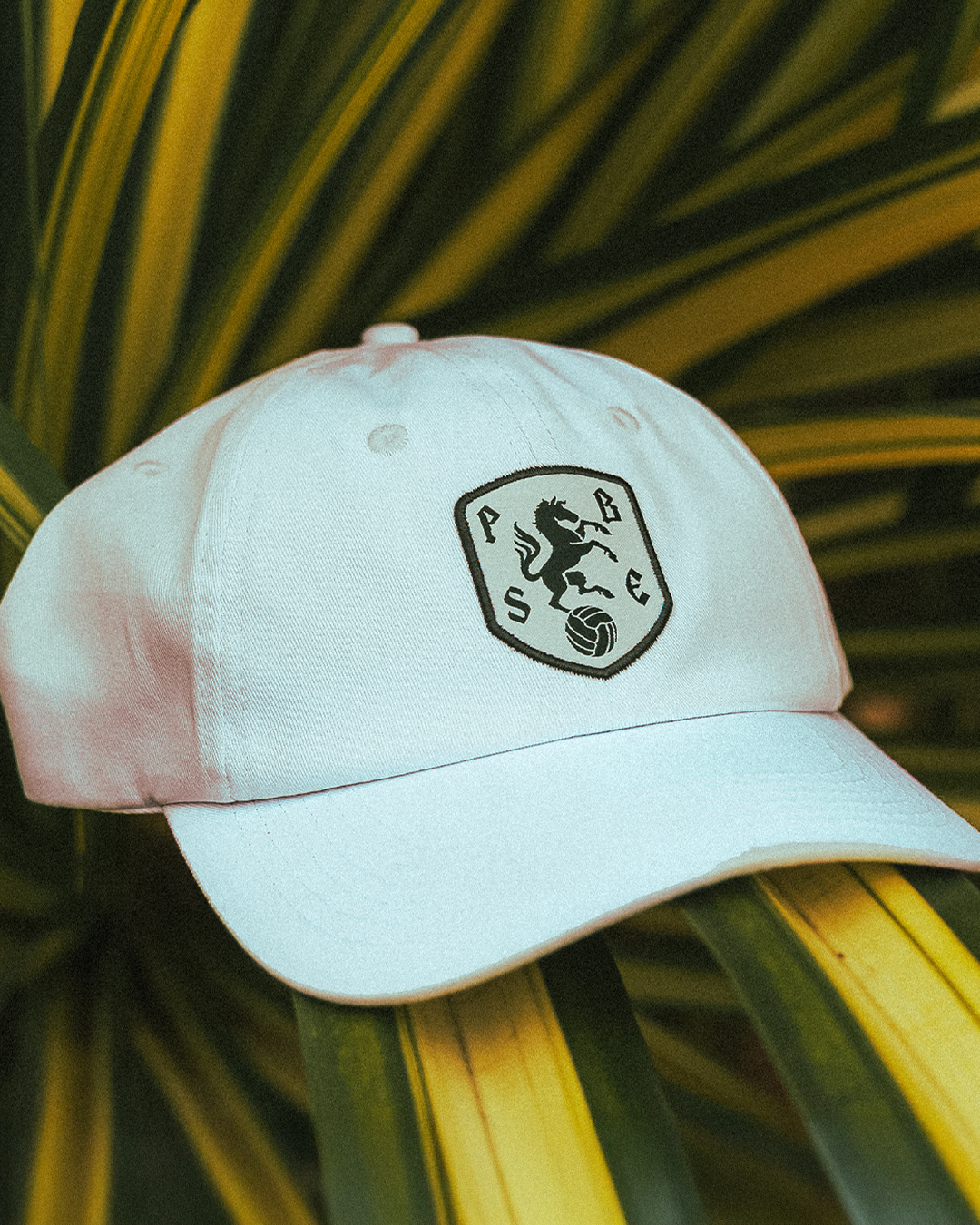 PBSE Original Hat Collection